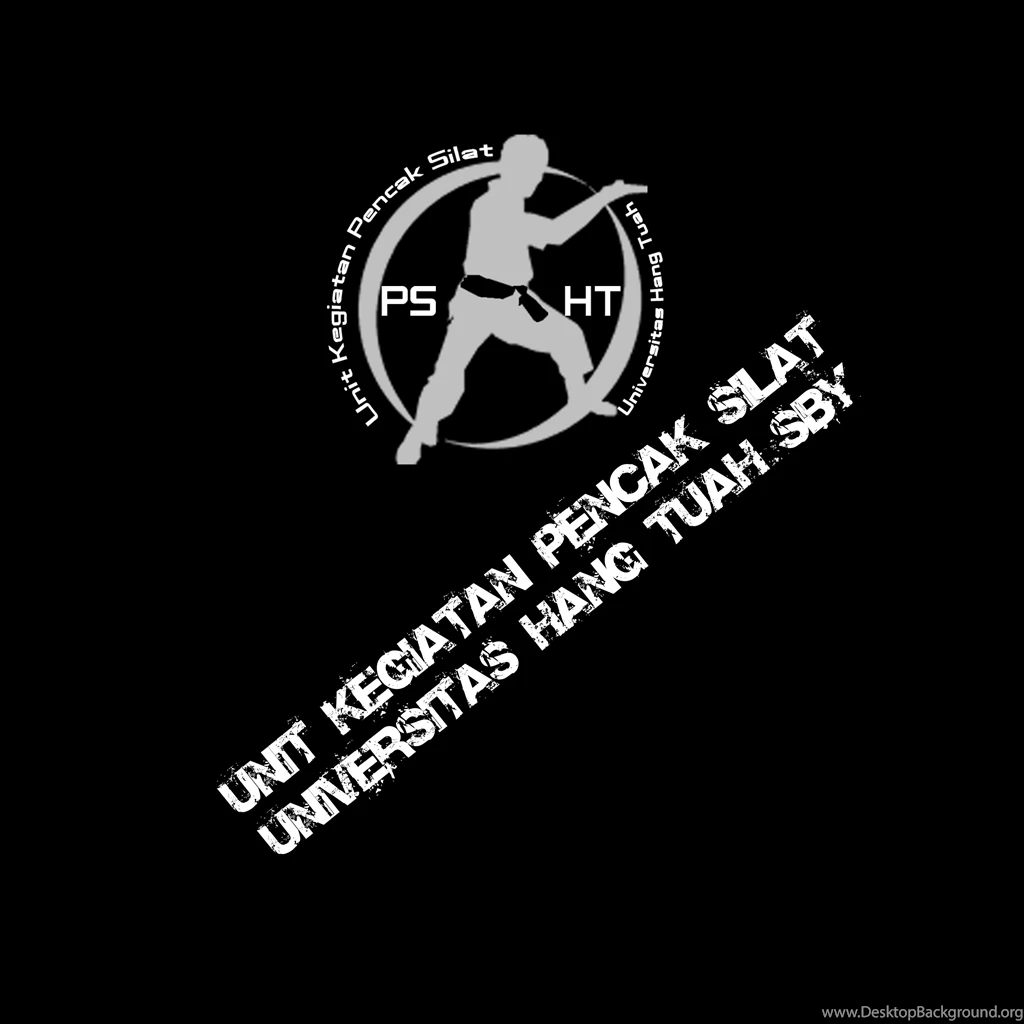 Kaos Pencak Silat   Belakang By TheXIVdesigns On DeviantArt