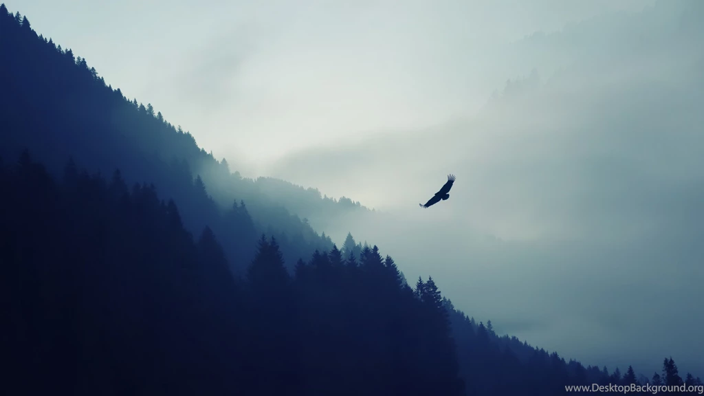 Wallpapers Dump Album On Imgur