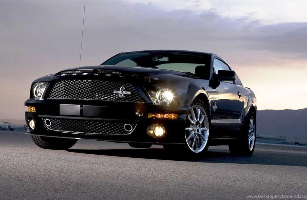 2014 Ford Mustang Shelby Gt500 Cobra