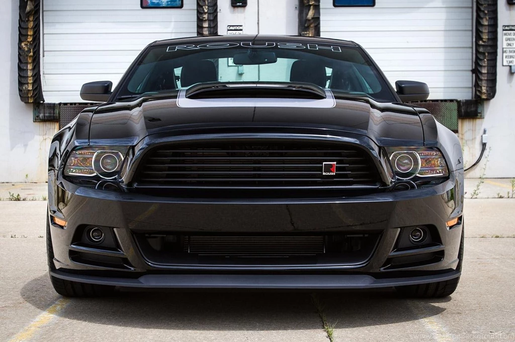 2014 Mustang 50th Anniversary (
