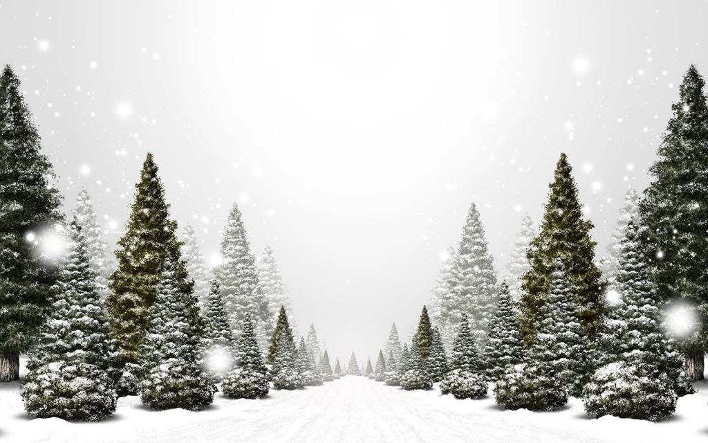 Winter Christmas HD Backgrounds 3719 HD Wallpapers Site