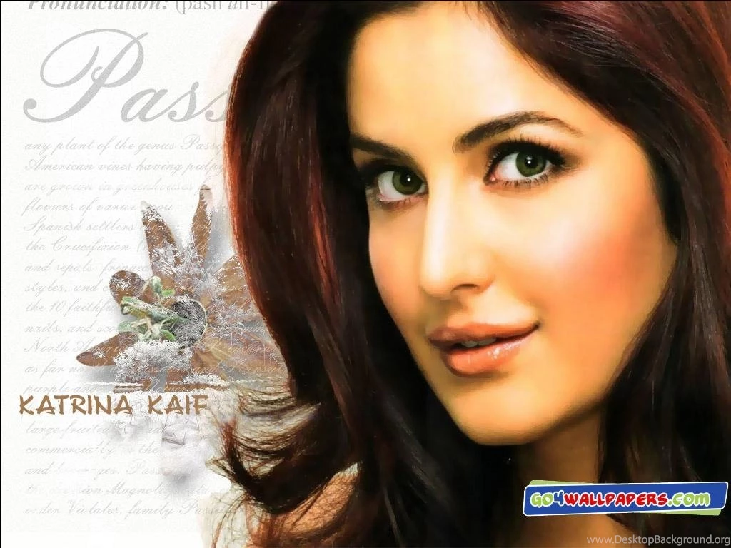 Bollywood Actress Wallpapers Wallpapers HD Wide