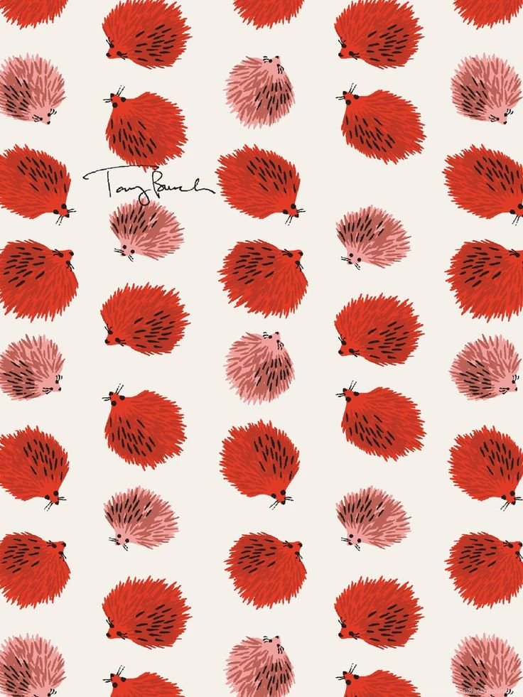 Tory Burch Hedgehog Wallpapers
