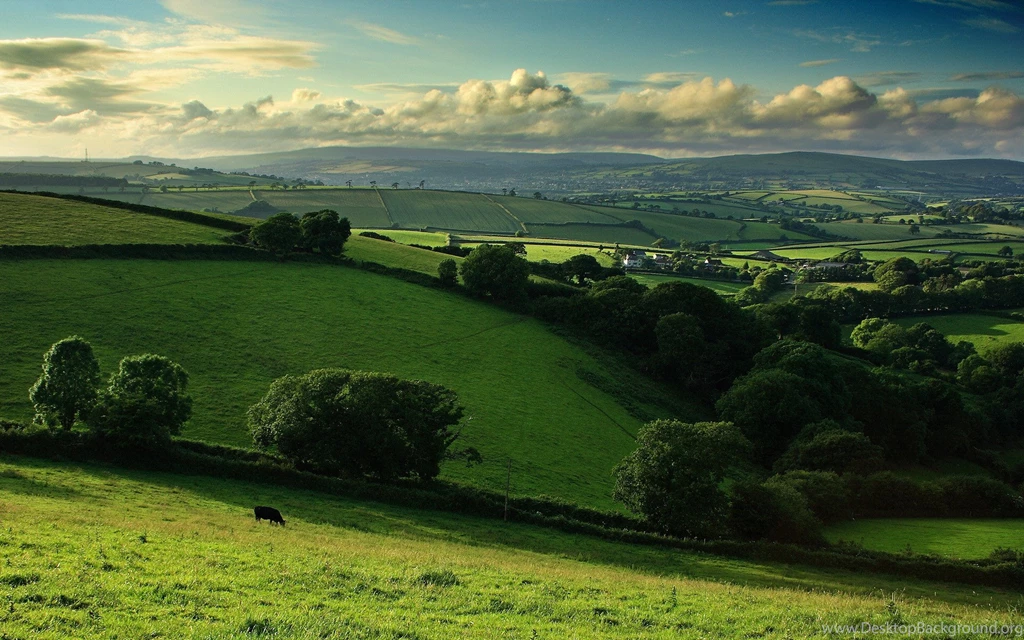 Hills
