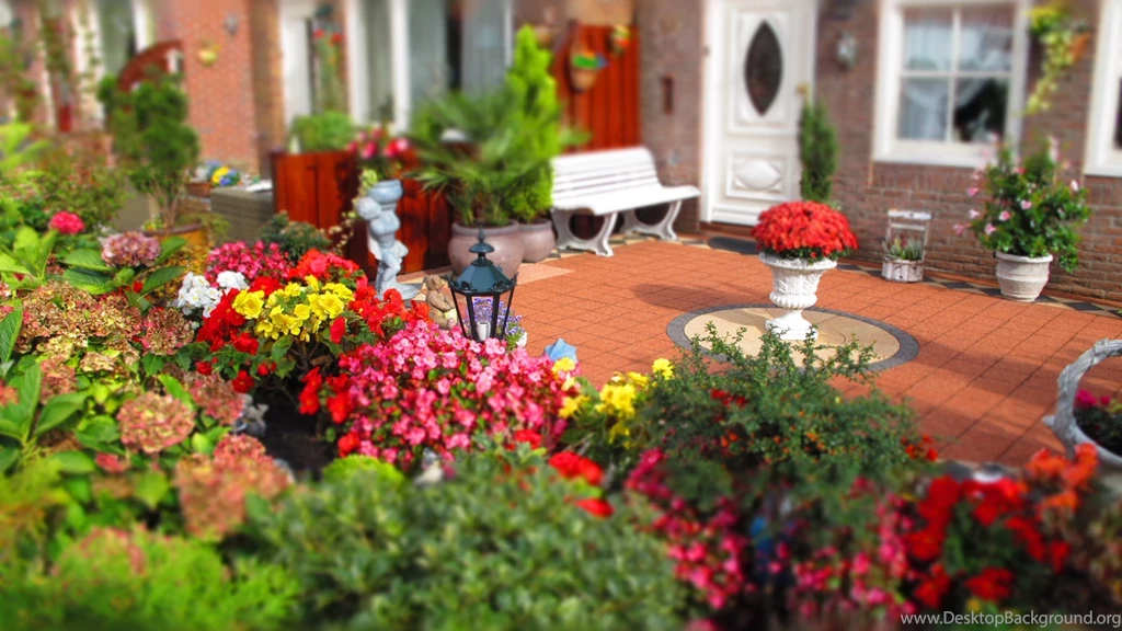 Garden Full Of Flowers Ultra Hd Wallpapers Ultra High Definition ...