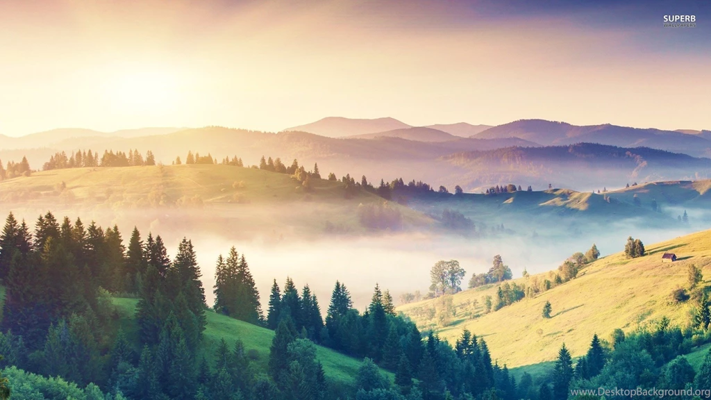 Misty Morning In The Hills Wallpapers Nature Wallpapers