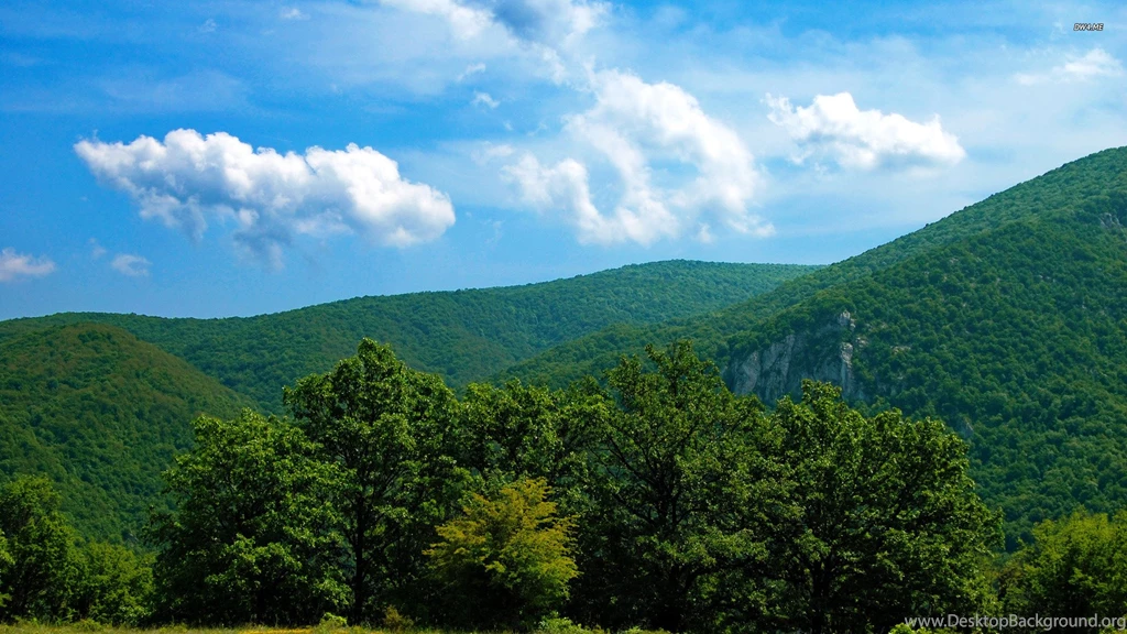 Trees And Green Hills Wallpapers Nature Wallpapers