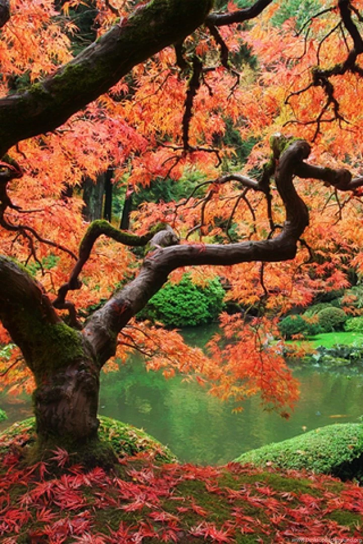 Free Mobile Adstract Wallpapers Taglist Page 16 For Mobile Phone.