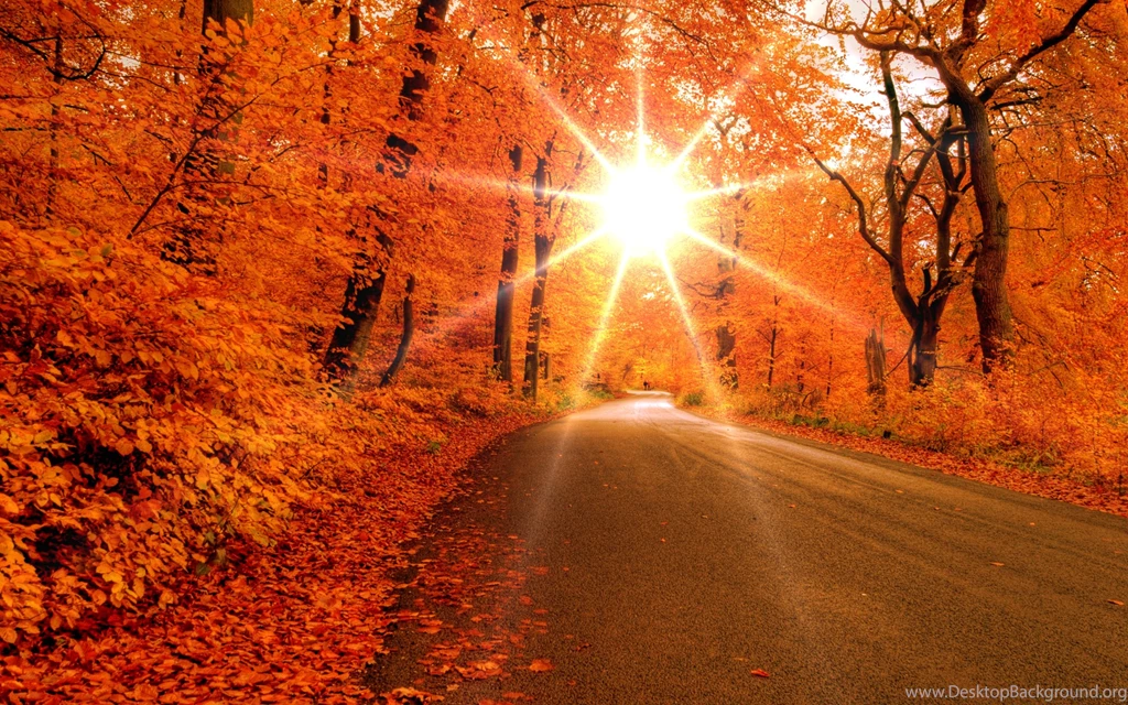 Autumn Paradise HD Wallpapers