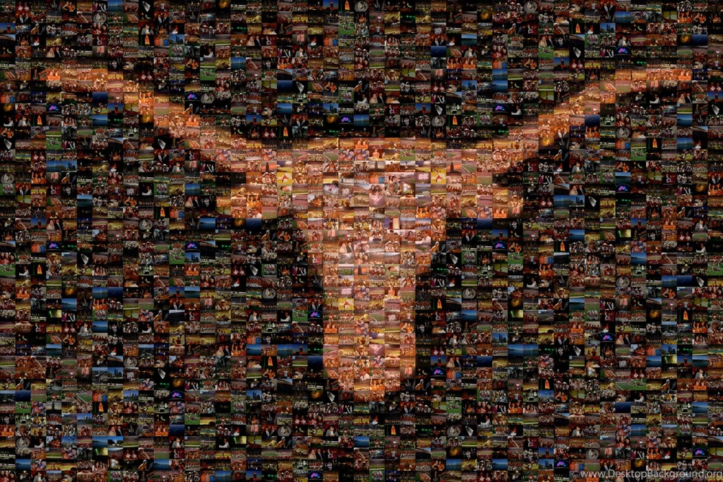 Cites University Of Texas At Austin