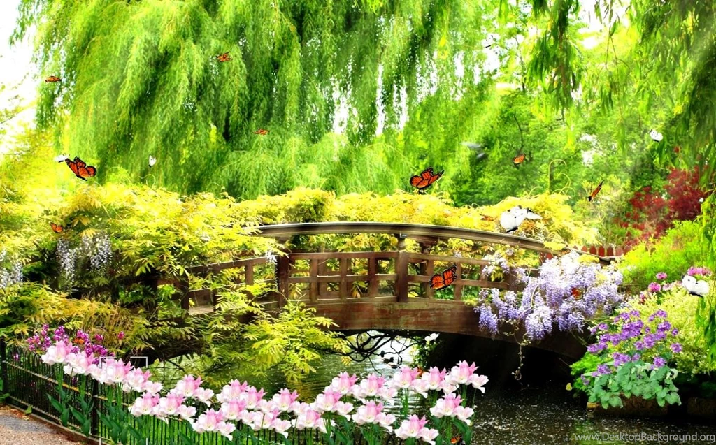 Bring The Beauty Of Nature With Animated Nature Wallpapers ...