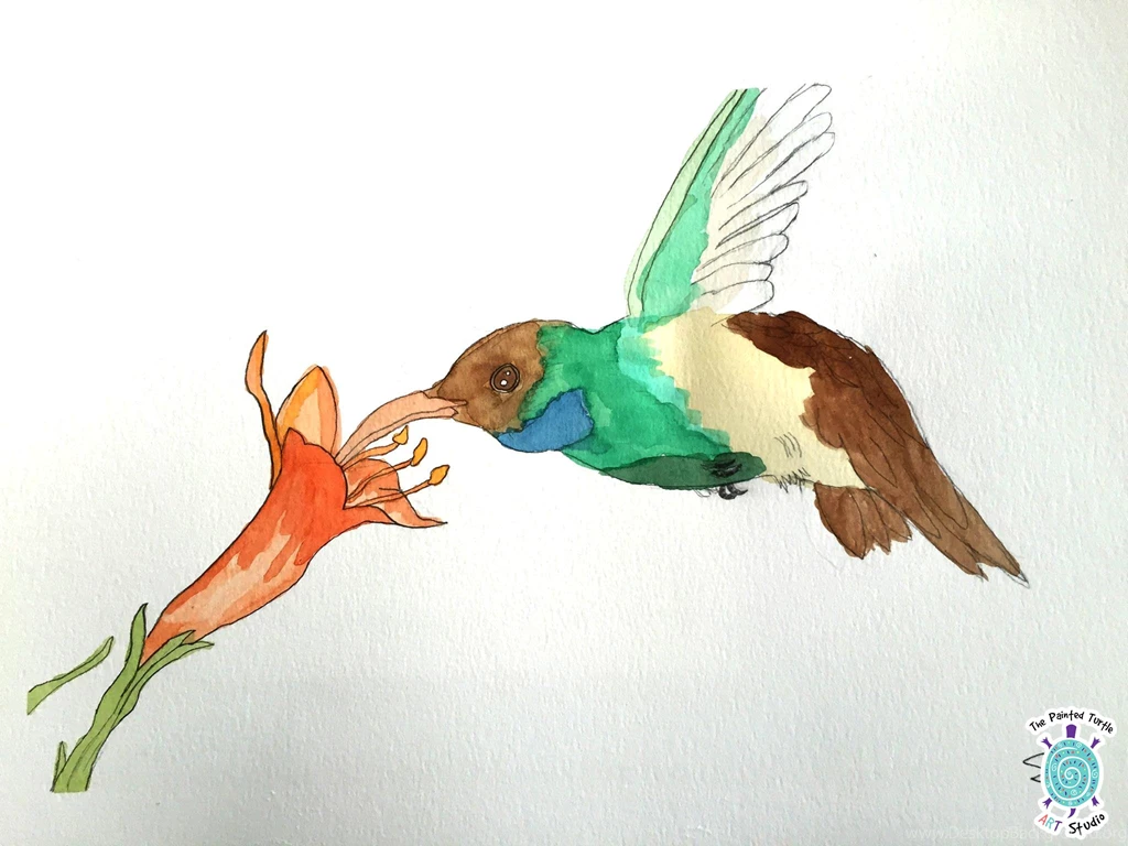 The Painted Turtle Art Studio: Classes For Kids And Adults In ...