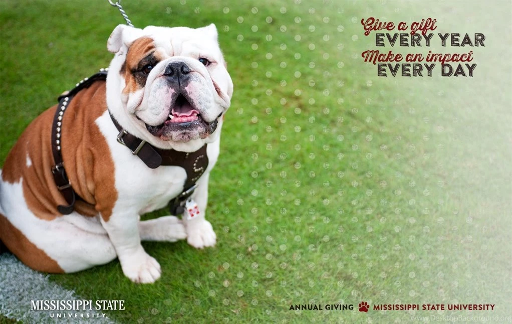 Mississippi State University Development And Alumni Wallpapers