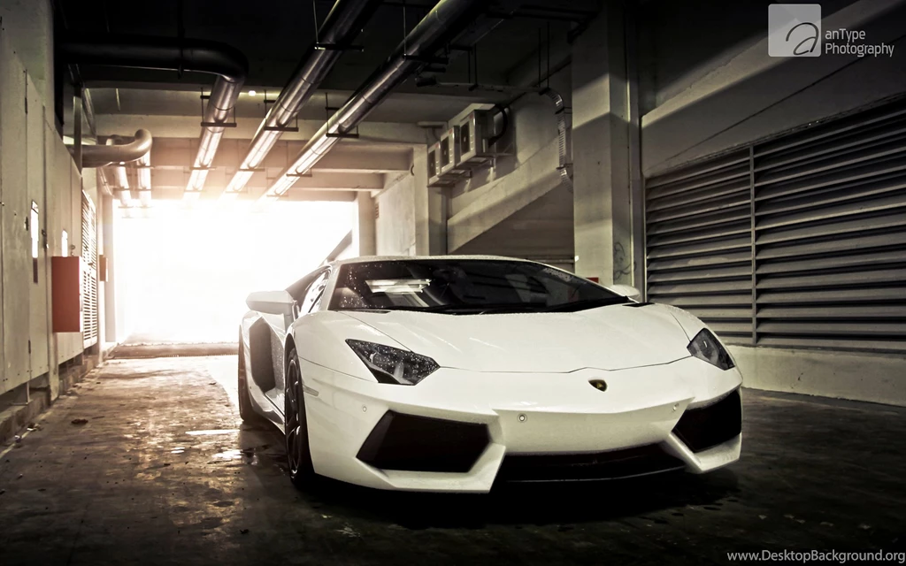 White Lamborghini Aventador Pictures