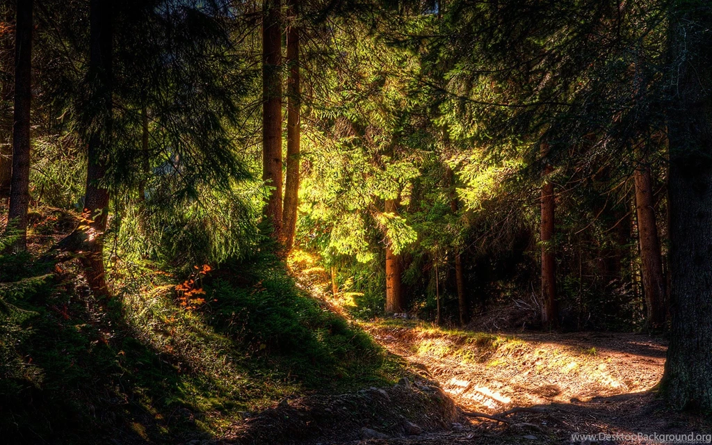 Hd Nature Wallpapers 750826