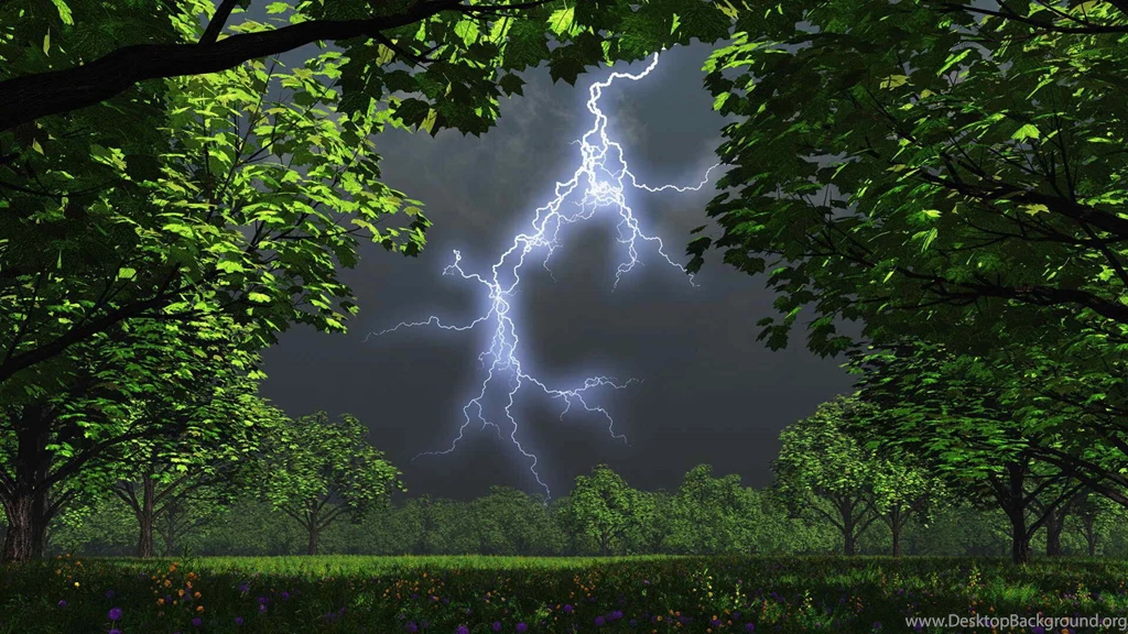 Rainy Nature HD Wallpapers ~ Toptenpack.com