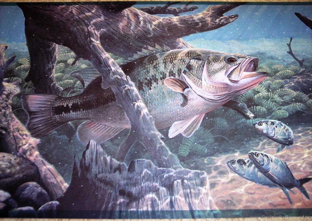 Bass Fish Wallpapers