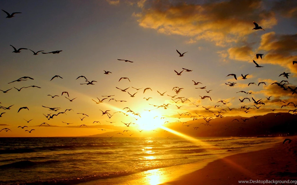 Sunset On Malibu Beach   (