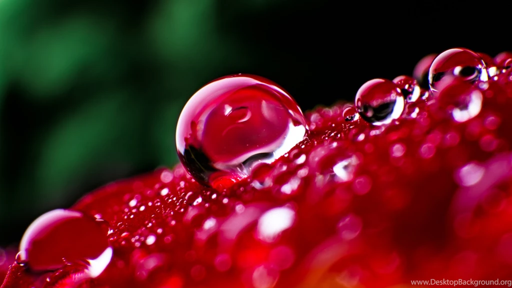 Download Wallpapers 3840x2160 Surface, Large, Drops, Dew, Bright ...