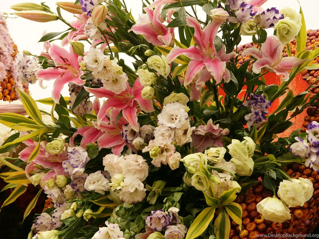 Flowers dsc02201.jpg