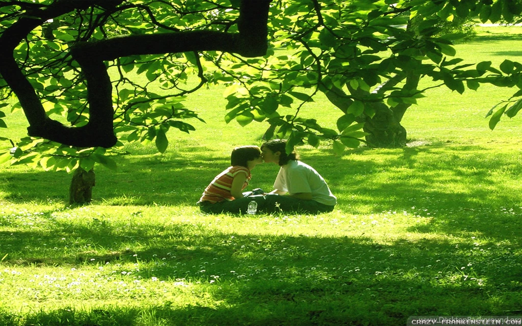 Romantic Couple Wallpapers Crazy Frankenstein