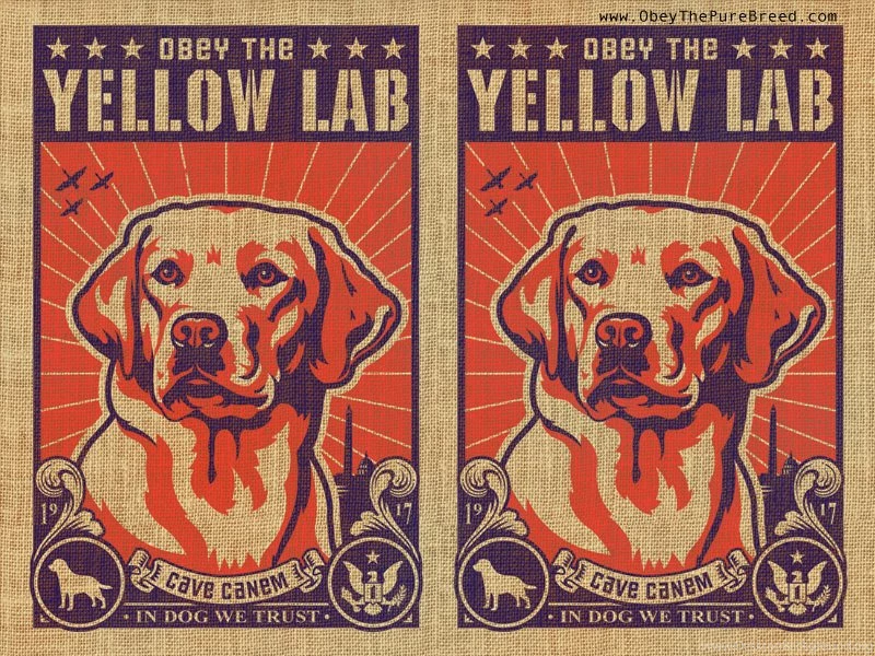 Yellow_lab_burlap.jpg