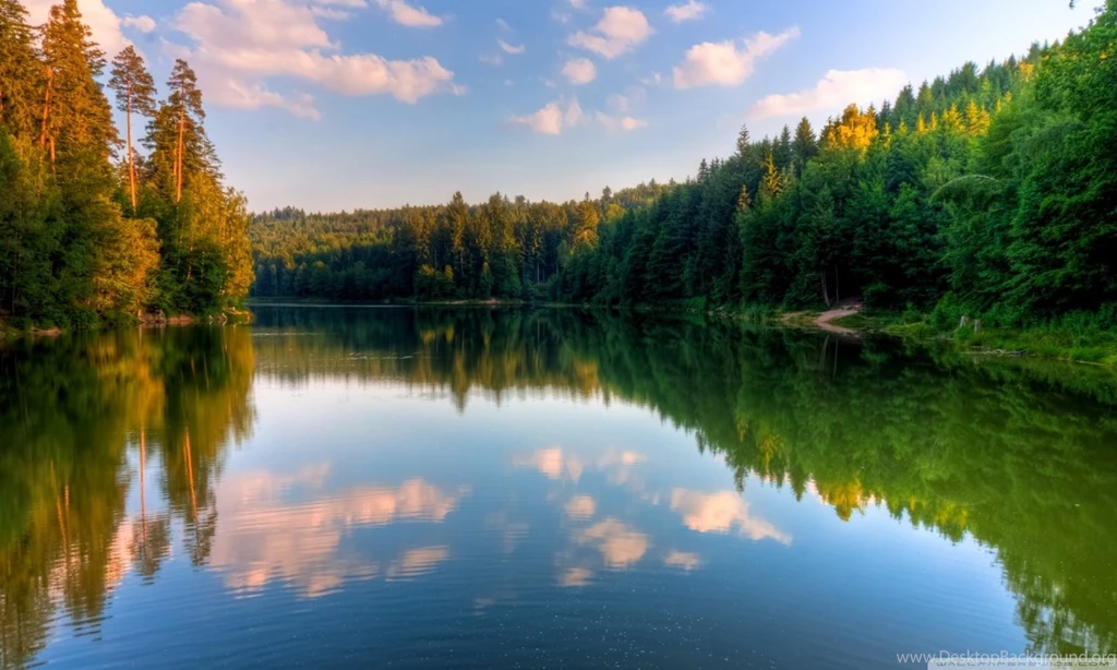 River, Forest HD Desktop Wallpapers : High Definition : Fullscreen ...
