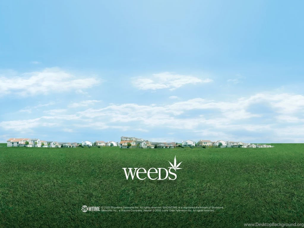 Weeds Weeds Wallpapers (271309) Fanpop