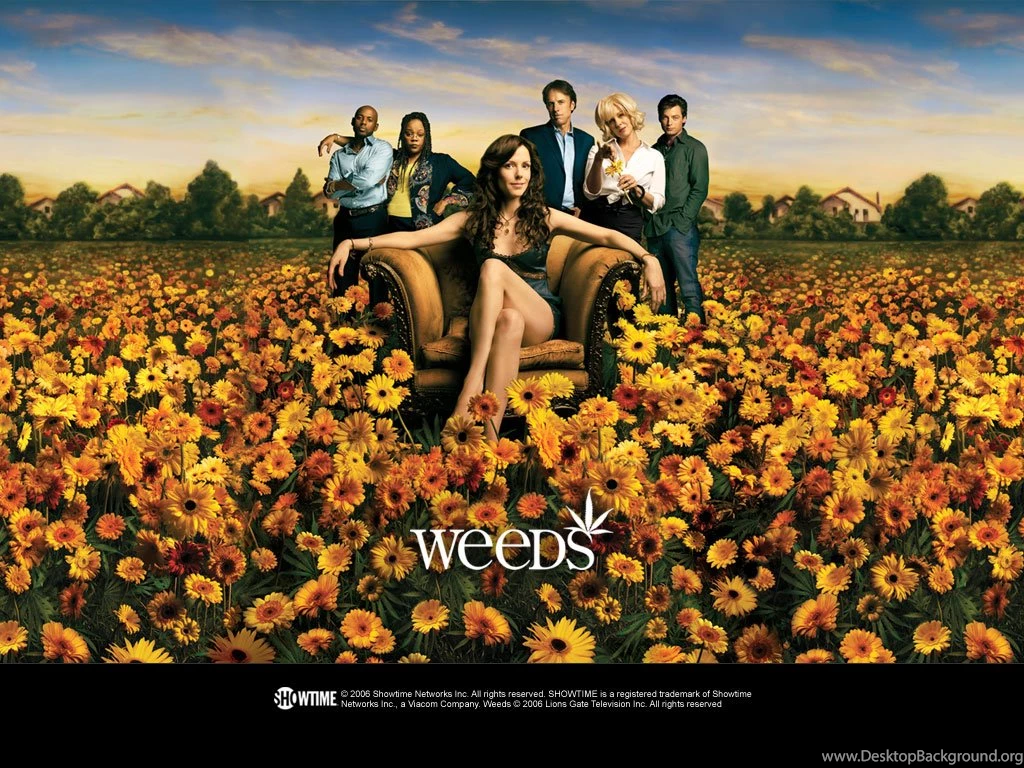 Weeds   Weeds Wallpapers (107293)   Fanpop