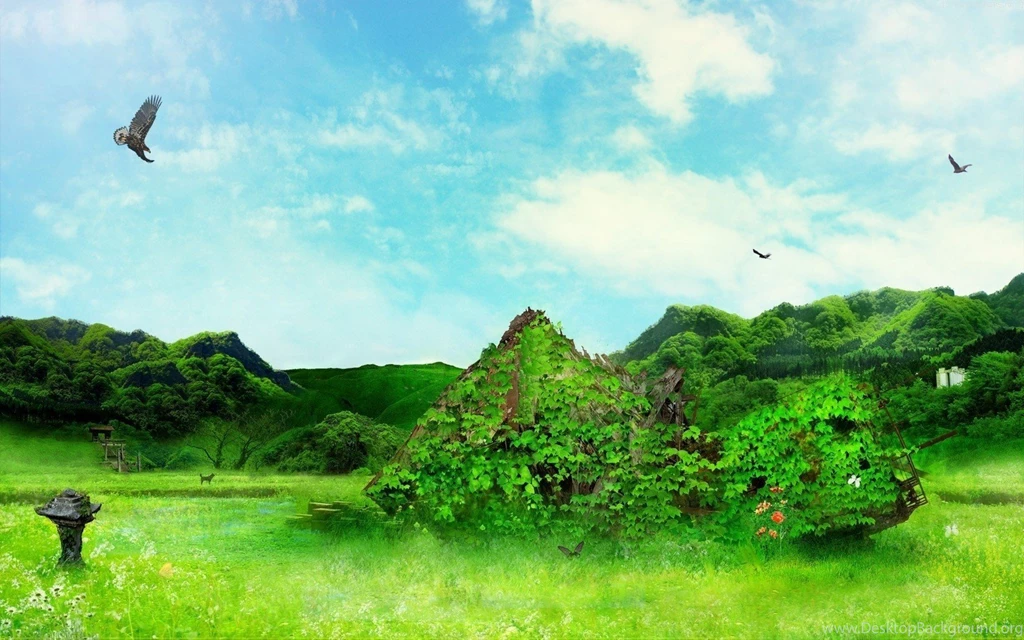 Green Landscapes Nature Birds Leaves Weeds Wallpapers