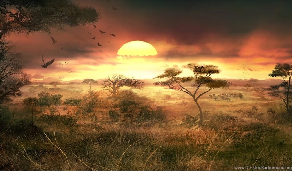 Savanna Sunset Free Wallpaper Backgrounds For C