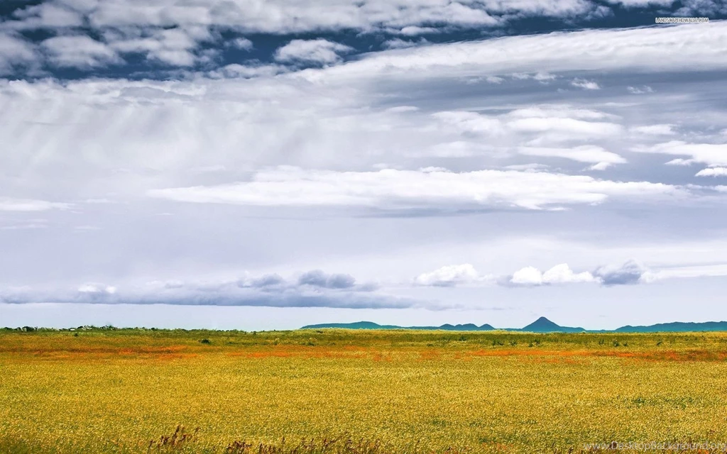 Wonderful Sky Over The Savanna Wallpapers