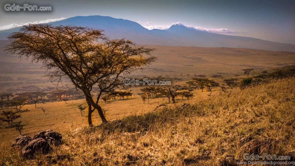 616551_afrika_priroda_peyzaj_savanna_goryi_derevo_kustyi__5671x3190_www.Gde Fon.com.jpg