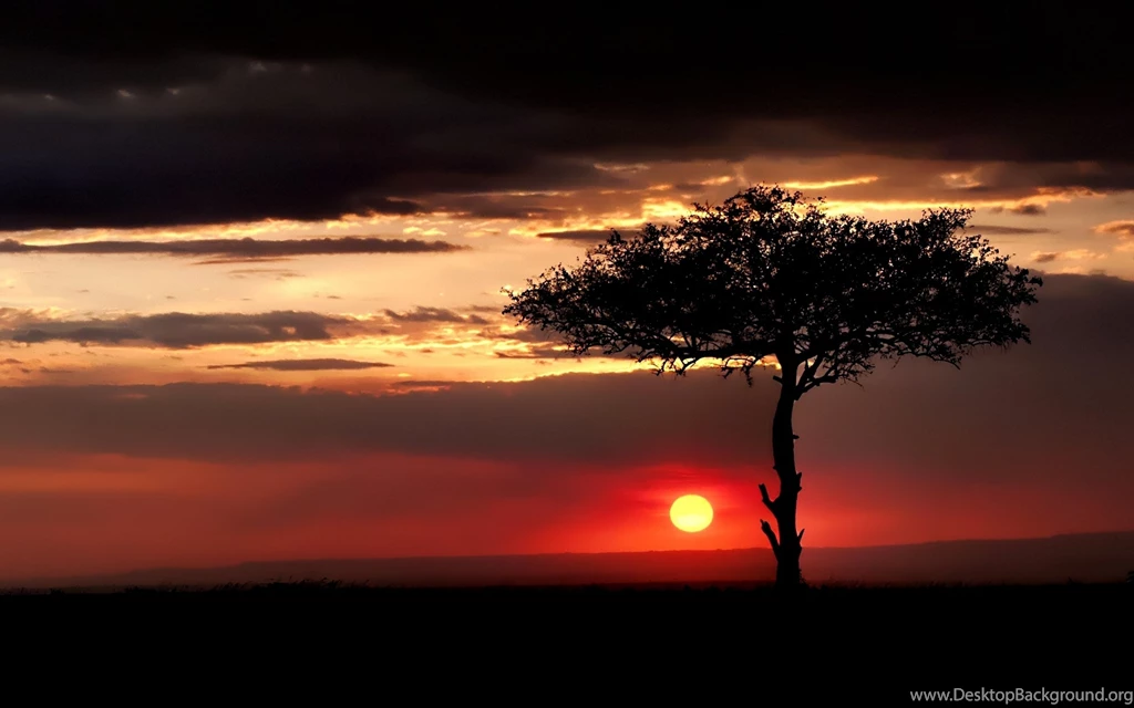 Download Wallpapers 3840x2400 Savanna, Tree, Lonely, Sun, Decline ...