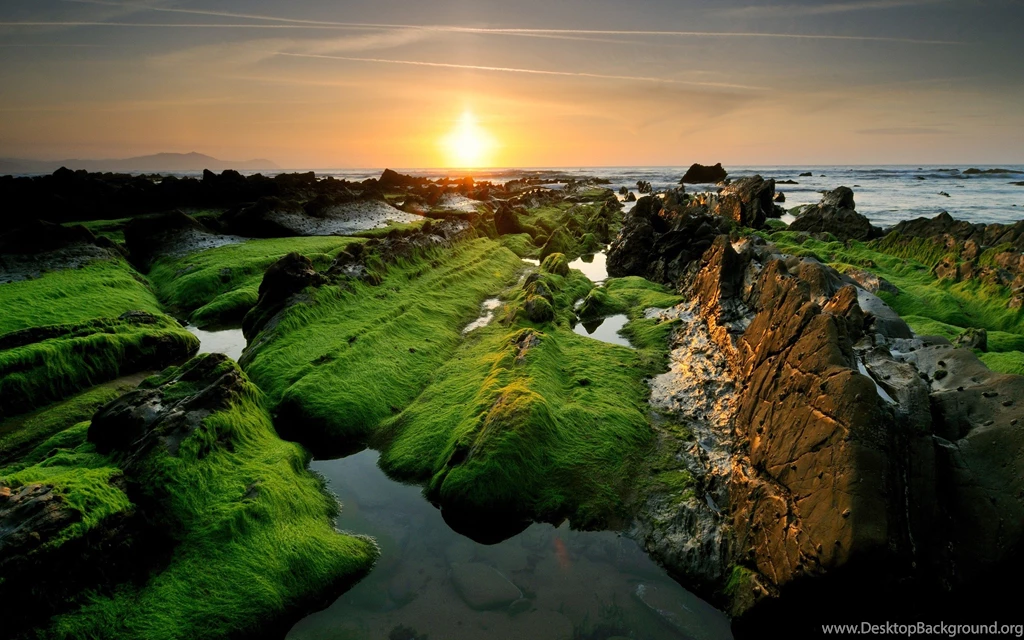 Amazing Nature Wallpapers HD