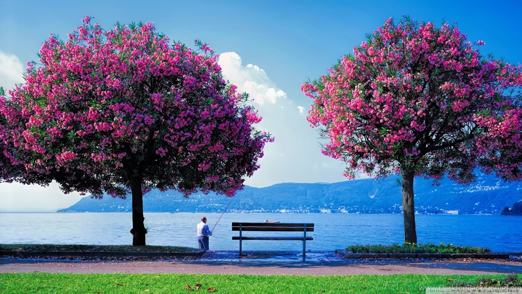 Wallpapers Amazing Place For Fishing 1920 X 1080 Full Hd 1920 X ...