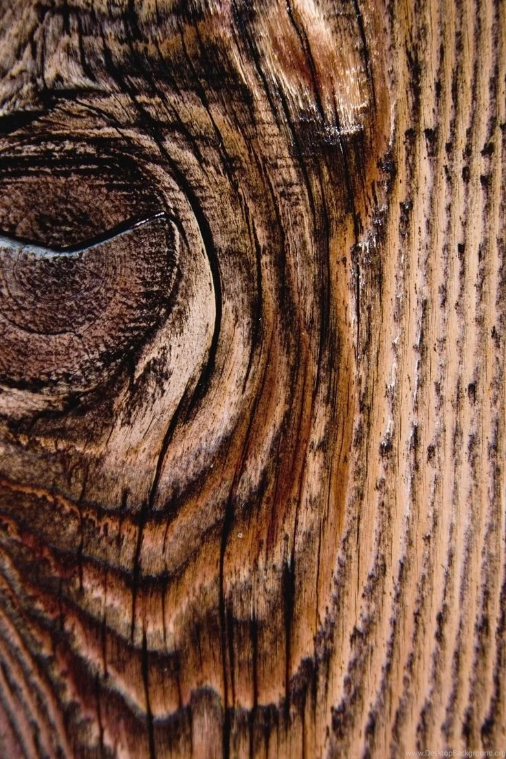 Wood Wallpapers For Iphone Or Android Tags Woods Woodgrain