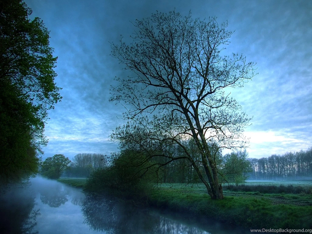 Nature: Melancolia, Picture Nr. 34471