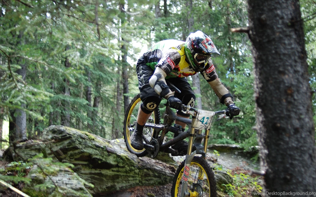 2560x1600 Bike, Downhill, Downhill, Dh, Forest, Extreme Wallpapers ...