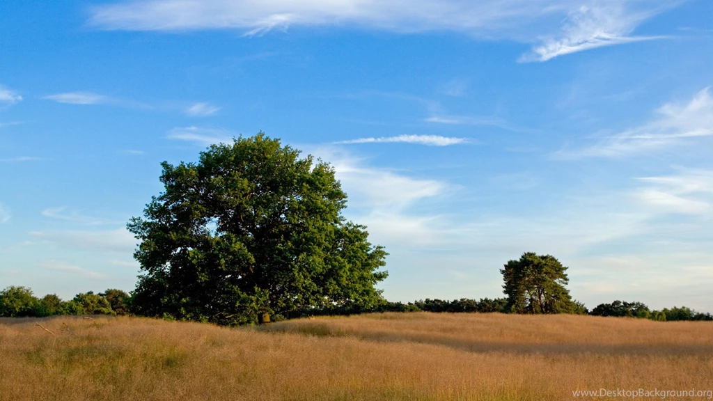 Landscape Astonishing Nature Quality Trees Backgrounds Picture ...