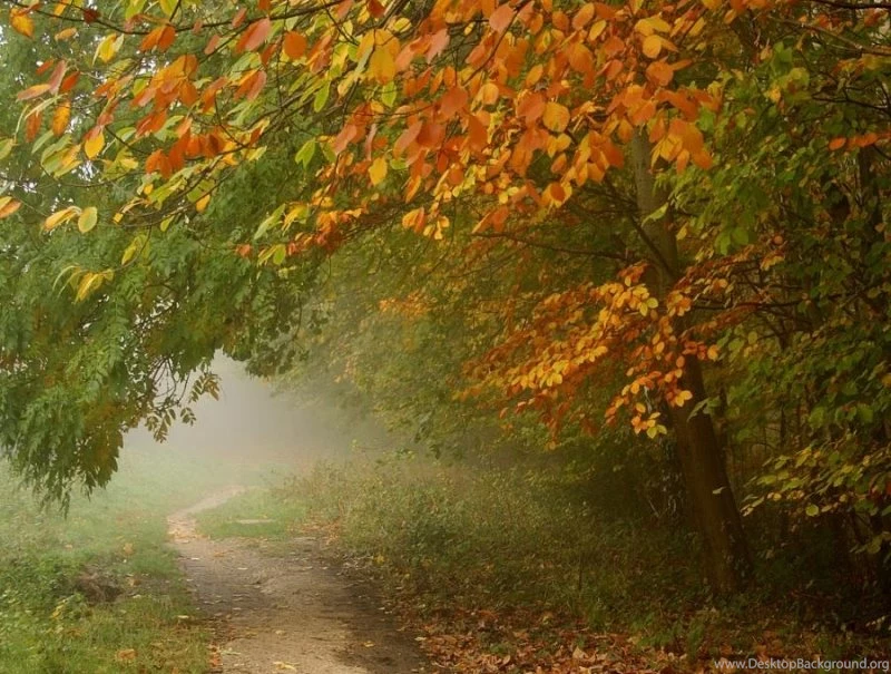 Zoozoo Wallpapers For Mobile   Wallpapers HD Base