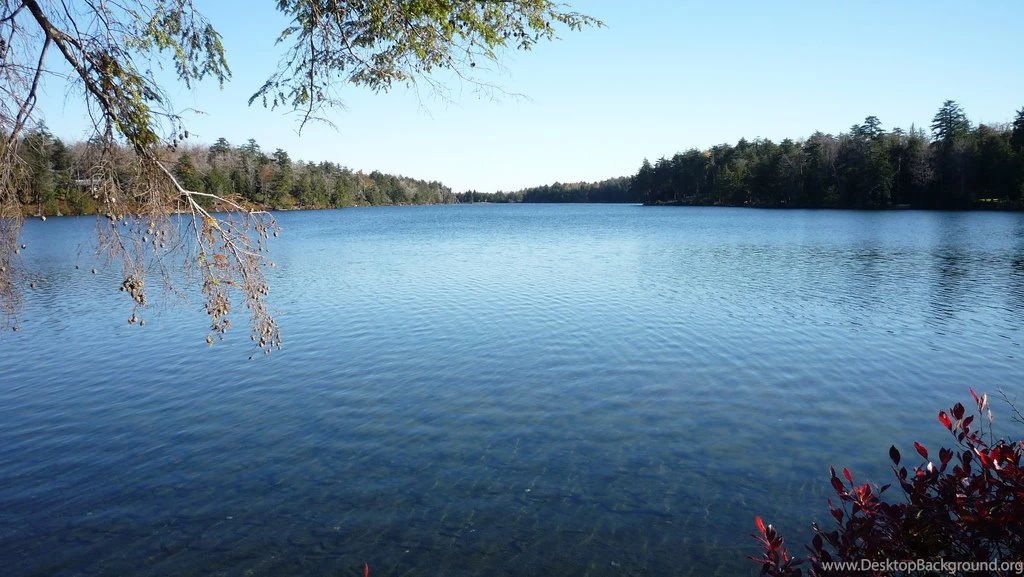Ganoga Lake Wikipedia, The Free Encyclopedia