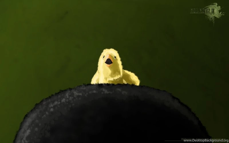 Baby Chocobo Wallpapers By BrokenApollo On DeviantArt