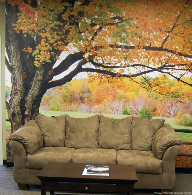 Images : Custom Wallpapers Totally Custom Wallpapers Photo Murals