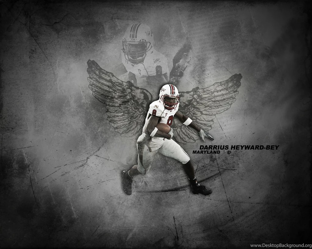 Hope You Like This Oakland Raiders Wallpapers HD Wallpapers As Much ...