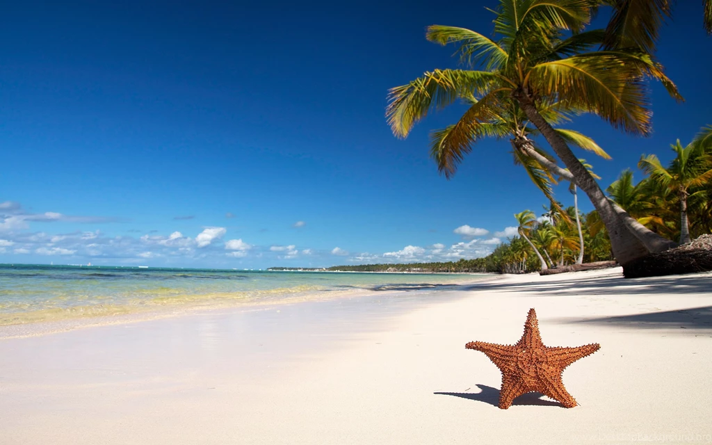 Beach Wallpapers Luxury Backgrounds Fullwidehd.com