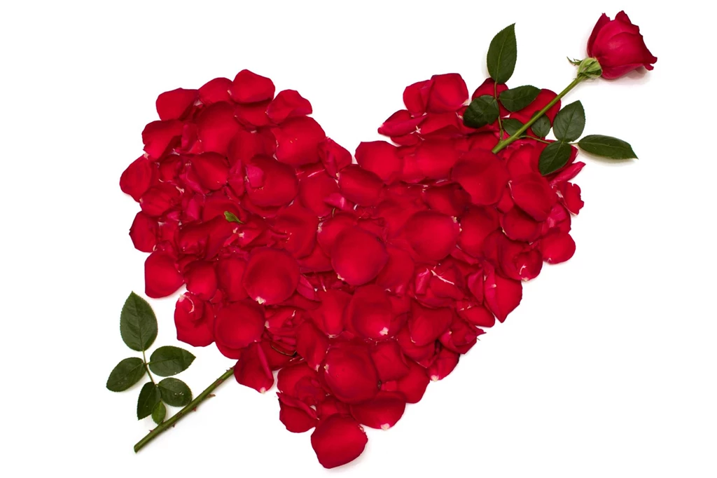 The Gallery For > Hearts And Flowers Wallpapers For Mobile
