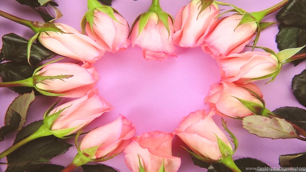 Romantic Flowers Wallpapers Crazy Frankenstein