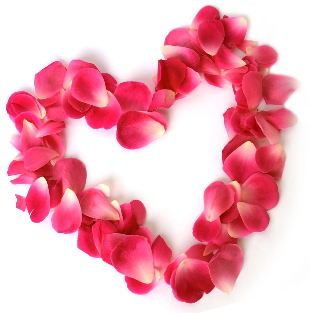 Images Of Hearts And Flowers HD Wallpapers And Pictures