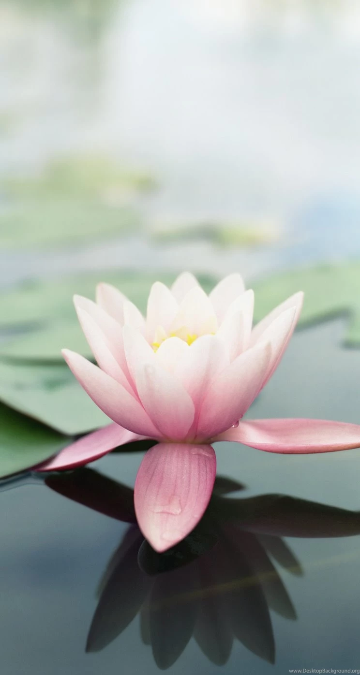 iPhone 5s Wallpapers